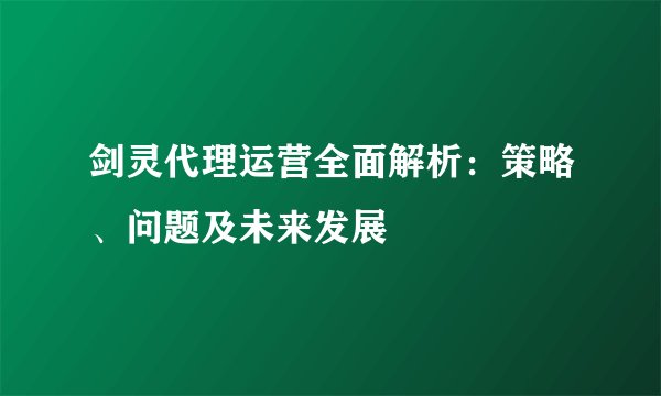 剑灵代理运营全面解析：策略、问题及未来发展