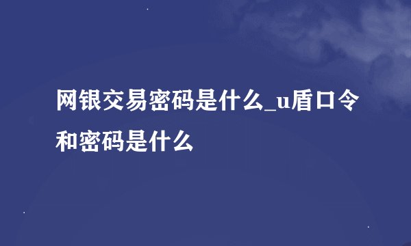 网银交易密码是什么_u盾口令和密码是什么