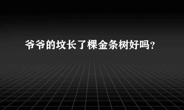 爷爷的坟长了棵金条树好吗?