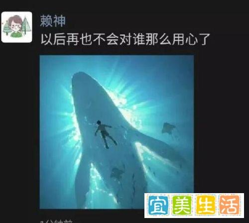 王者荣耀主播赖神被甩，最后还出来替瓜妹洗白，网友：太“舔”了
