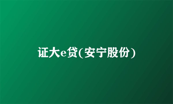 证大e贷(安宁股份)
