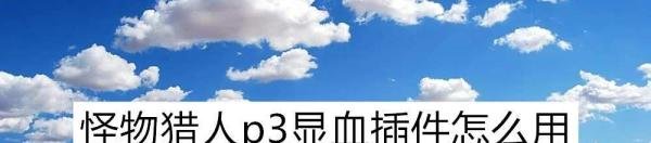 怪物猎人p3显血插件怎么用