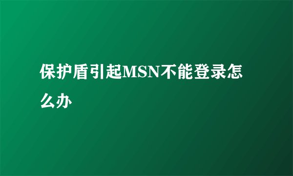 保护盾引起MSN不能登录怎么办
