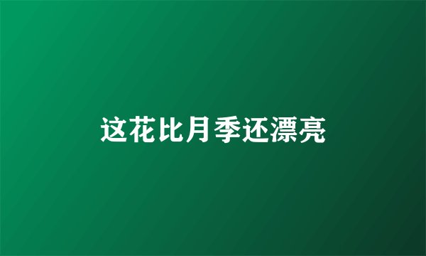 这花比月季还漂亮