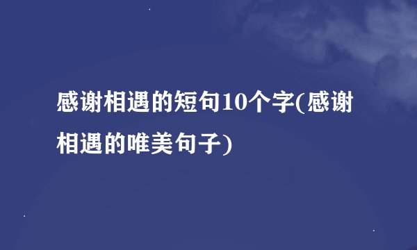 感谢相遇的短句10个字(感谢相遇的唯美句子)