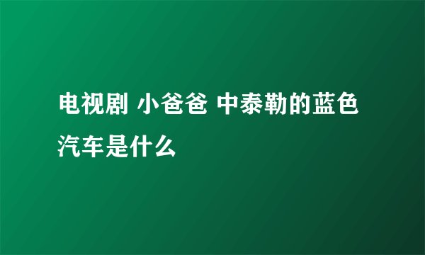 电视剧 小爸爸 中泰勒的蓝色汽车是什么