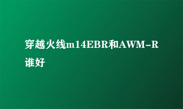 穿越火线m14EBR和AWM-R谁好