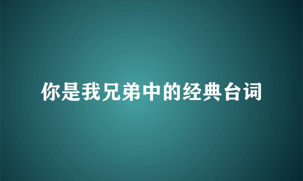 你是我兄弟中的经典台词