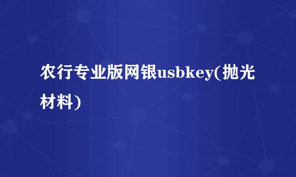 农行专业版网银usbkey(抛光材料)