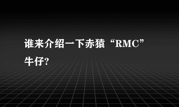 谁来介绍一下赤猿“RMC”牛仔?
