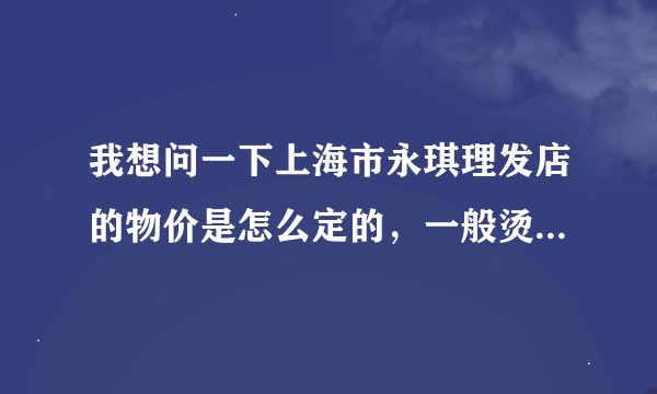 我想问一下上海市永琪理发店的物价是怎么定的，一般烫一个头要多少钱呢？