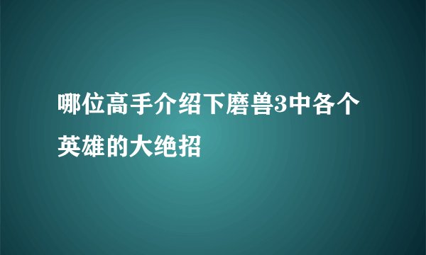 哪位高手介绍下磨兽3中各个英雄的大绝招