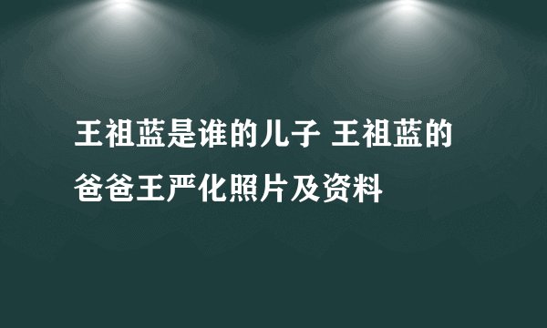 王祖蓝是谁的儿子 王祖蓝的爸爸王严化照片及资料