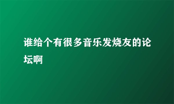 谁给个有很多音乐发烧友的论坛啊
