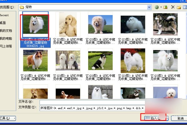 在ppt2010中，怎样插入图片？