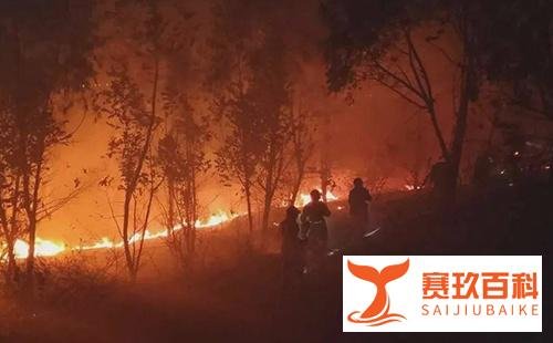西昌消防发起总攻,共计2000+人前往灭火