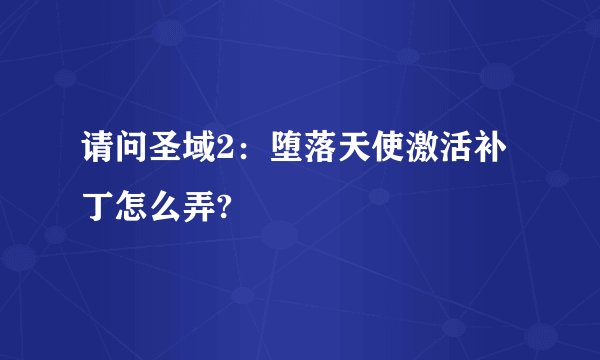 请问圣域2：堕落天使激活补丁怎么弄?