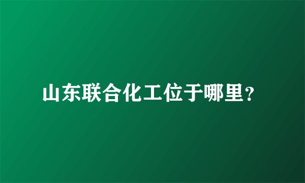 山东联合化工位于哪里？
