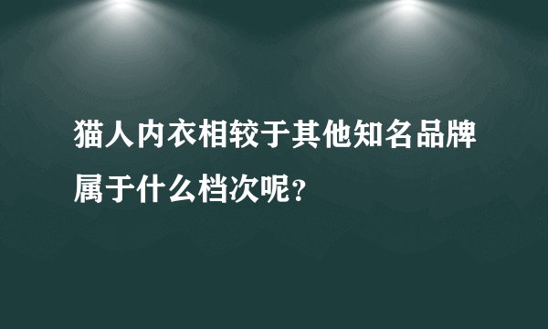 猫人内衣相较于其他知名品牌属于什么档次呢？