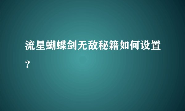 流星蝴蝶剑无敌秘籍如何设置？