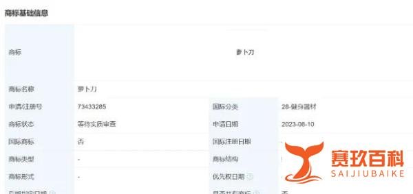 玩具“萝卜刀”爆火，创始人竟还在租房子！背后是······