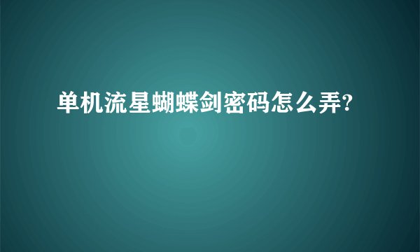 单机流星蝴蝶剑密码怎么弄?