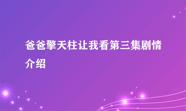 爸爸擎天柱让我看第三集剧情介绍