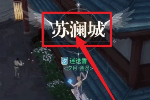 苏澜城的龟在哪里？