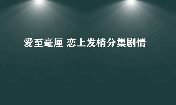 爱至毫厘 恋上发梢分集剧情