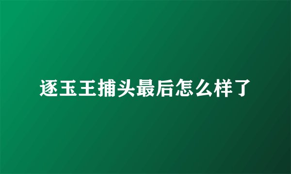 逐玉王捕头最后怎么样了
