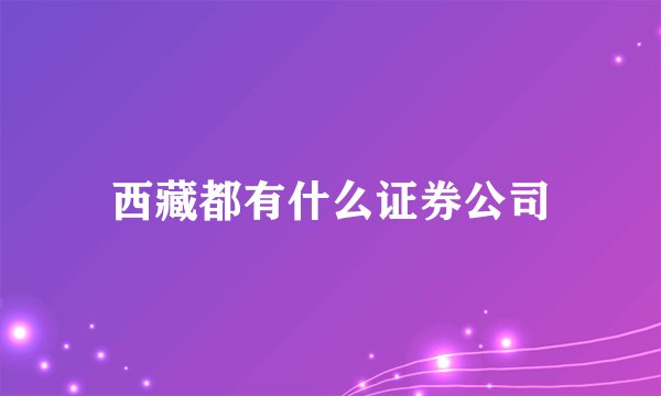 西藏都有什么证券公司