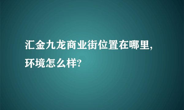 汇金九龙商业街位置在哪里,环境怎么样?