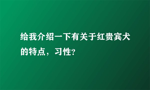 给我介绍一下有关于红贵宾犬的特点，习性？
