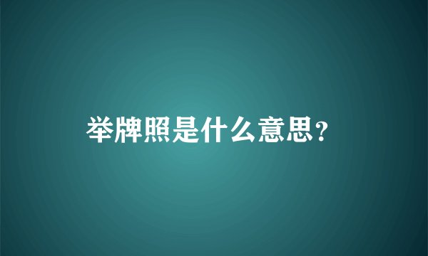 举牌照是什么意思？
