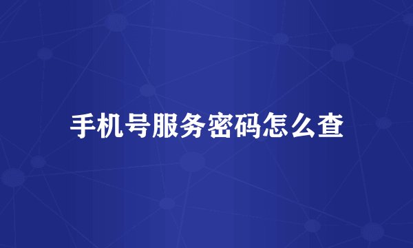 手机号服务密码怎么查