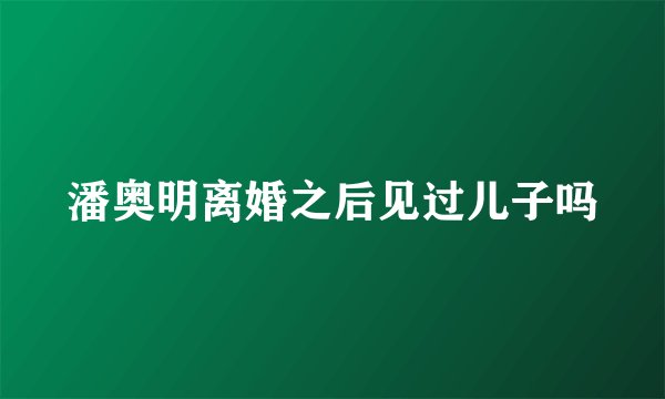 潘奥明离婚之后见过儿子吗