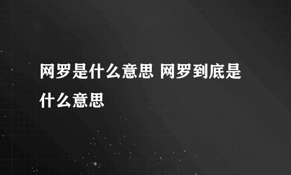 网罗是什么意思 网罗到底是什么意思