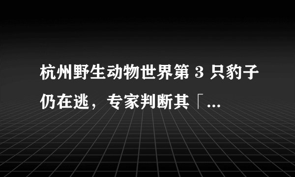 杭州野生动物世界第 3 只豹子仍在逃，专家判断其「或已死亡」，如何看待该判断？还有哪些可能性？