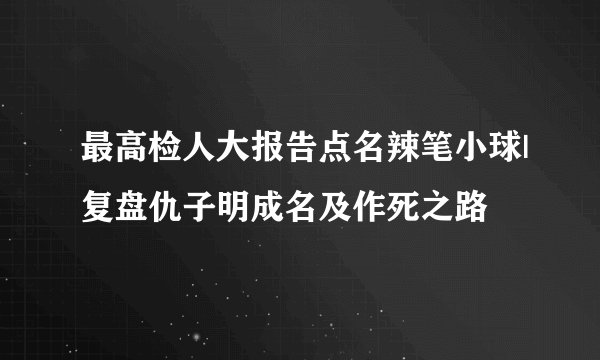最高检人大报告点名辣笔小球|复盘仇子明成名及作死之路