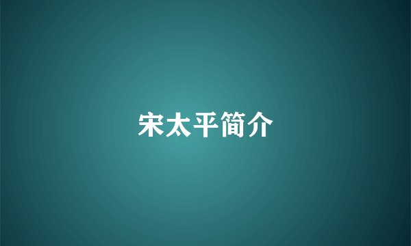 宋太平简介