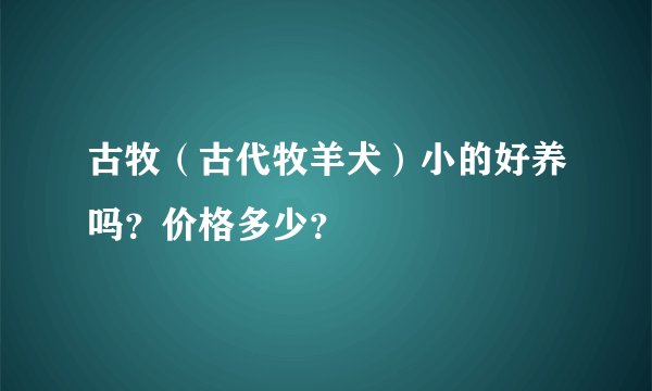 古牧（古代牧羊犬）小的好养吗？价格多少？