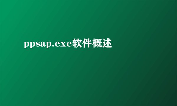 ppsap.exe软件概述