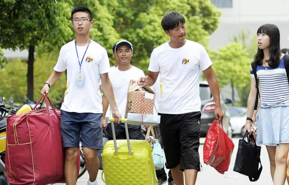 大一新生携2米高盆栽开学!这位学生为何会带这么大的盆栽?