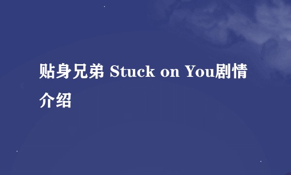 贴身兄弟 Stuck on You剧情介绍