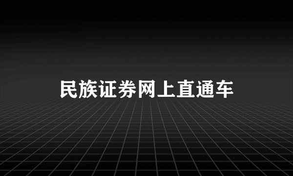 民族证券网上直通车