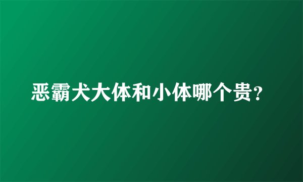 恶霸犬大体和小体哪个贵？