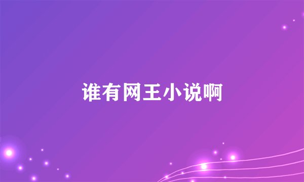 谁有网王小说啊