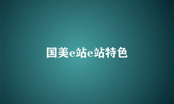 国美e站e站特色
