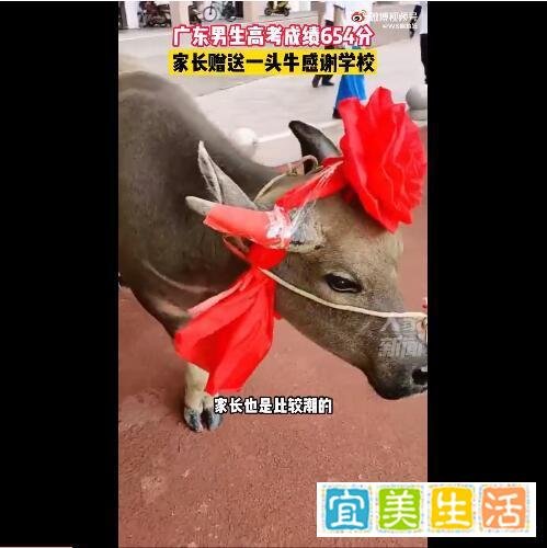 高考654分 家长送牛感谢学校 这是咋情况?