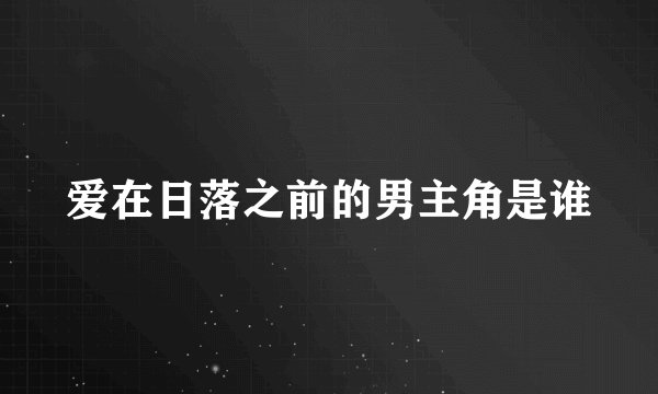 爱在日落之前的男主角是谁